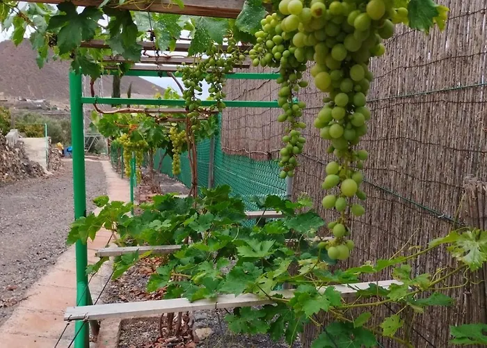 Villa Home2book Fantasy & Nature, Private Pool