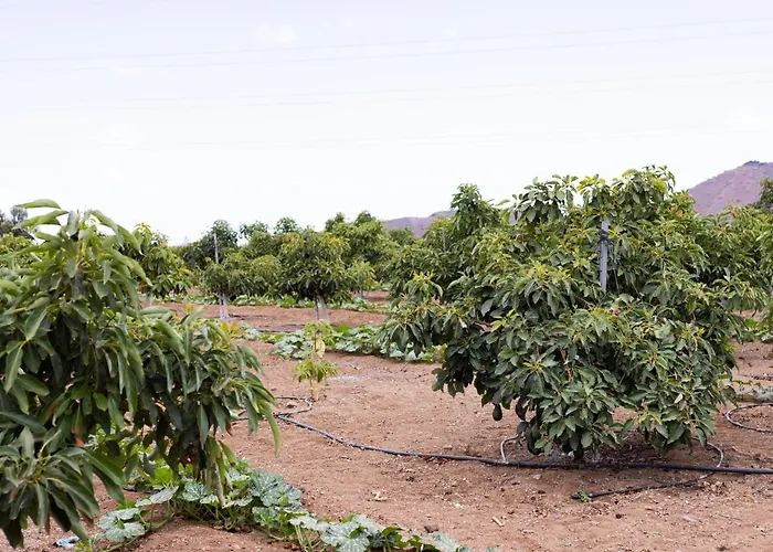 Villa Home2book Fantasy & Nature, Private Pool