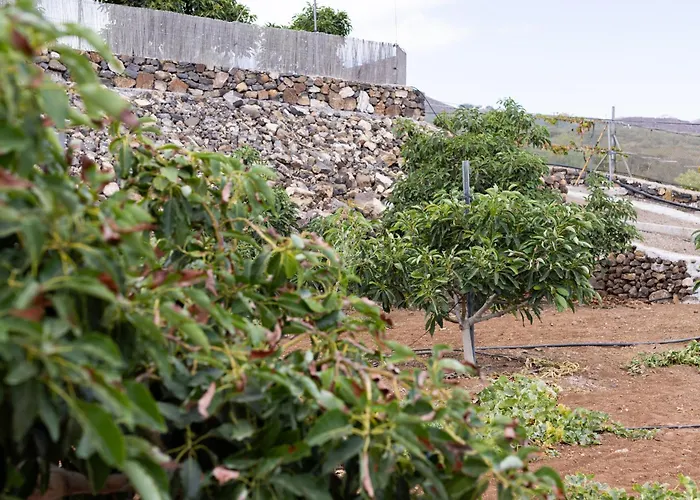 Home2book Fantasy & Nature, Private Pool * San Miguel de Abona